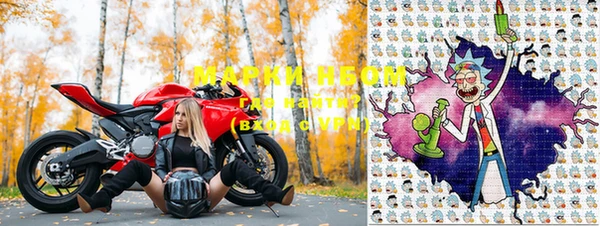 стафф Коряжма