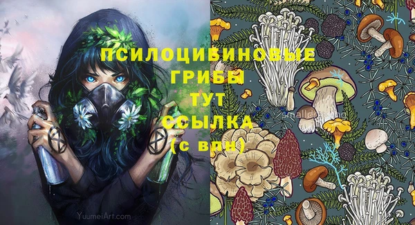 apvp Краснослободск