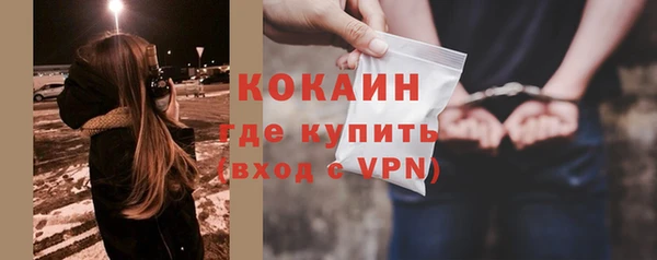 apvp Гатчина