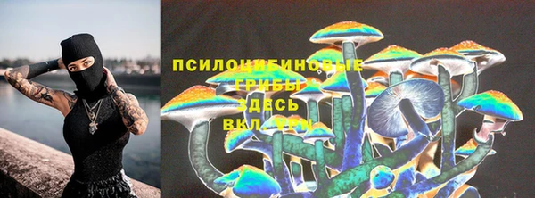 молекула духа Куйбышев
