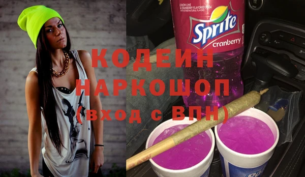 apvp Гатчина