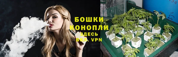apvp Краснослободск