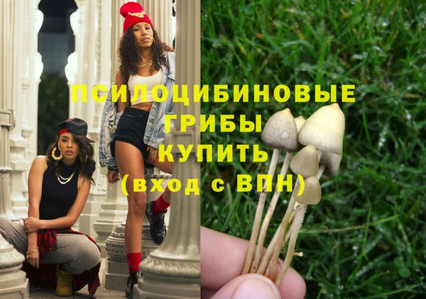 тгк Гвардейск